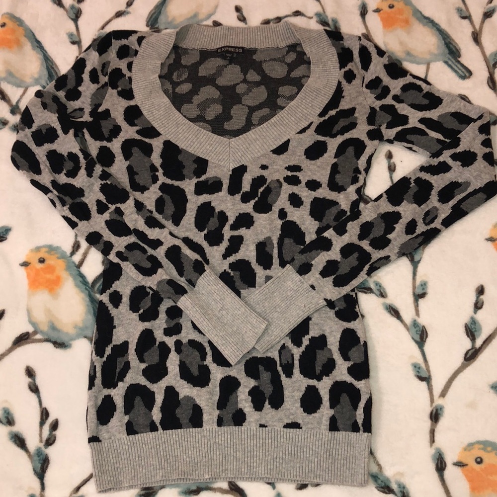Express leopard print v-neck sweater, sz S